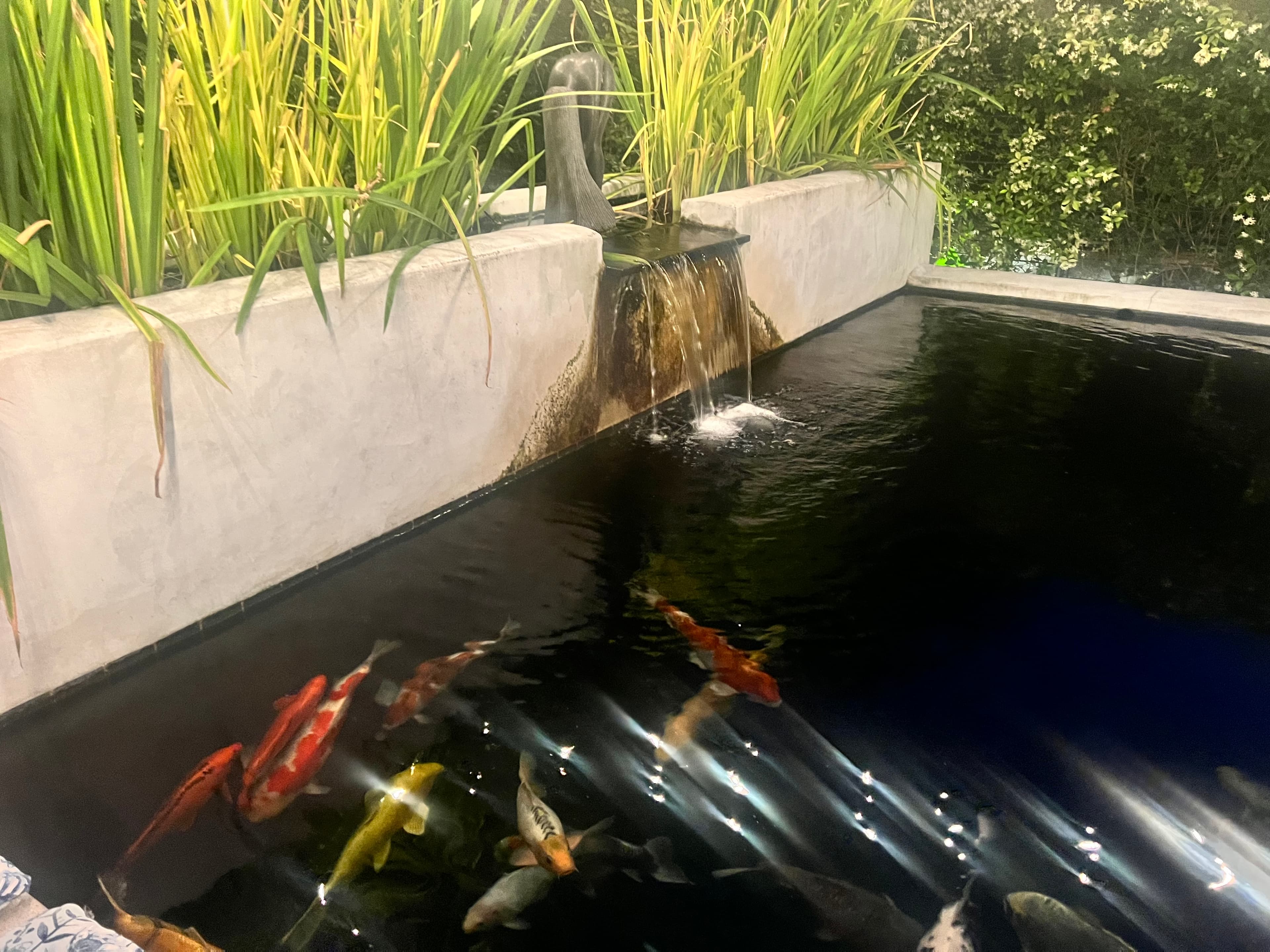 Cape Pools installation 21