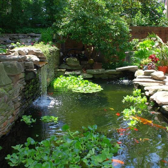 Cape Pools installation 22