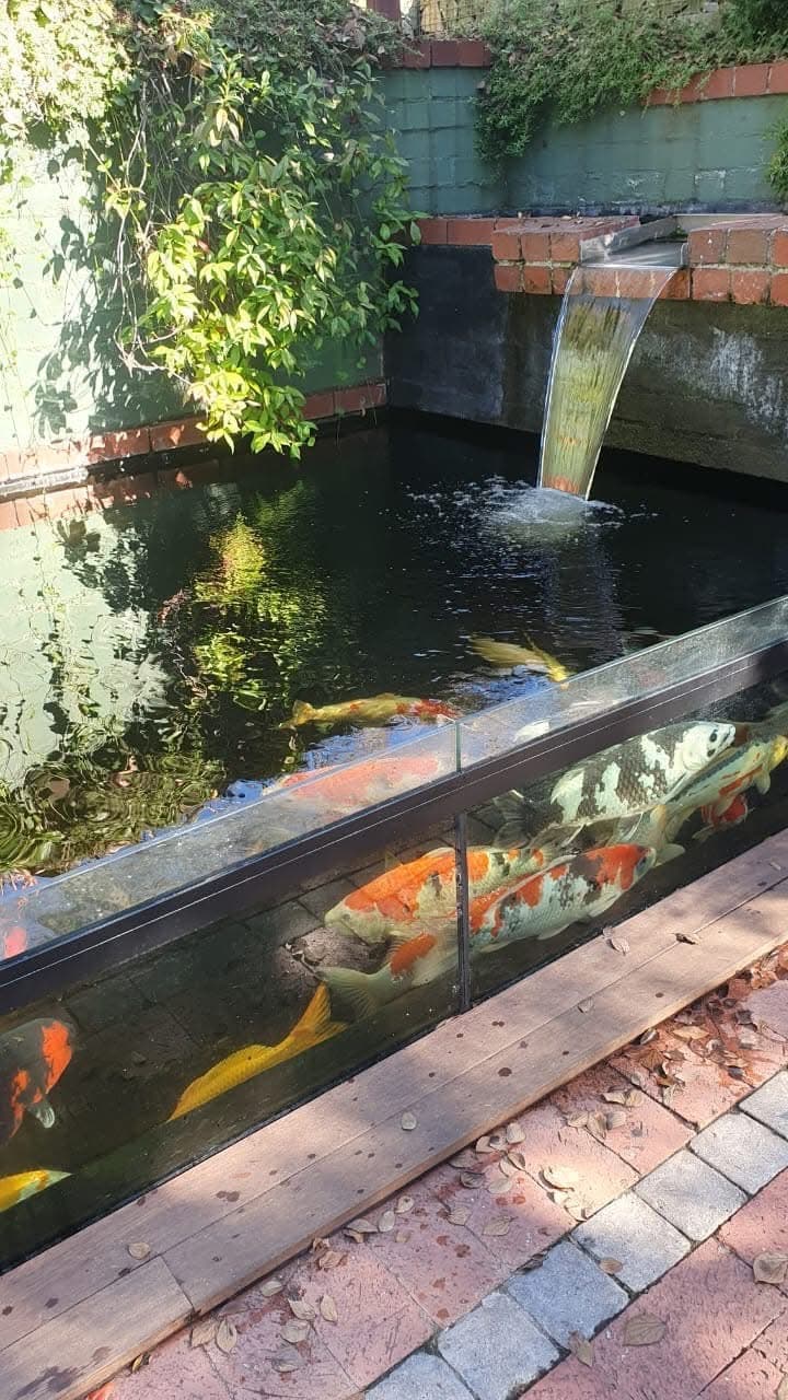 Cape Pools installation 23